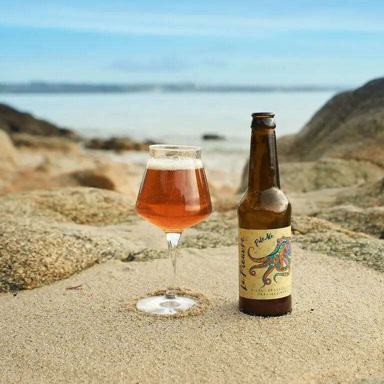 brasserie de la pieuvre-109 biere blonde artisanale saint évarzec