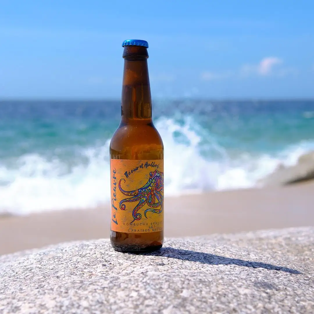 DSCF4352 Kombucha thé noir